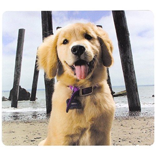 Fellowes Recycled Mouse Pads  (Puppy at beach)