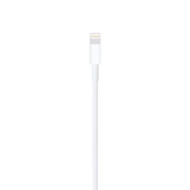 Apple Lightening to USB 2M