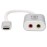 Tripp Lite by Eaton USB-C to 3.5-mm Stereo Audio Adapter, Silver, U437-002