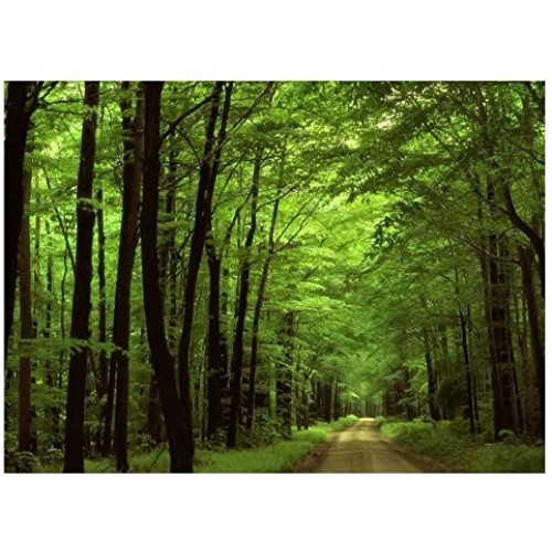 ILJILU Deep in The Forest Thick Green Vegetation Tree Nature Mouse Pad Mat