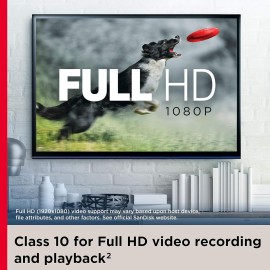 SanDisk Ultra - Flash memory card (microSDXC to SD adapter included) - 512 GB - A1 / UHS Class 1 / Class10 - microSDXC UHS-I