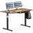 SHW 55 x 28 Inches Electric Height Adjustable Standing Desk with Drawer and Memory Preset, Walnut