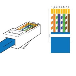 Intellinet Network Solutions® CAT-6 UTP Patch Cable (25 Ft.; White)