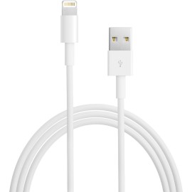 Apple USB Type-A to Lightning Cable (6.6' / 2 m)