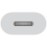 Apple USB-C to Lightning Adapter