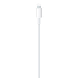 Apple USB-C to Lightning Cable (3.3' / 1m)