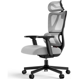 ProtoArc EC 100 Ergonomic Office Chair B0D6QG9GSF with Adaptive Lumbar Support, 30% Thicker Saddle Shaped Spring Cushion, Mesh Computer Chair with 2D Headrest, Up & Down Armrest for Home Office (Grey)