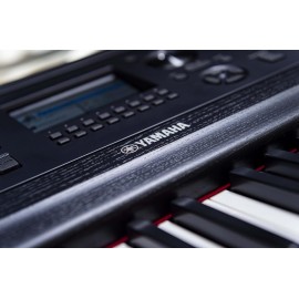 Yamaha, 88-Key Digital Pianos-Home (DGX670B)