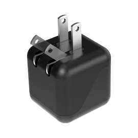 Xyst 2.4A Dual USB Wall Charger (Black)