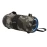 Dolphin Audio LX-60 Waterproof Portable Bluetooth Speaker with Accent Lights and FM Radio, Camouflage