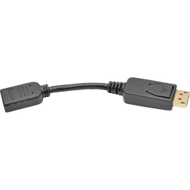 Tripplite Displayport To Hdmi Converter Adapter, 6"