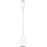 Apple USB-C to USB Adapter