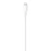 Apple USB-C to Lightning Cable (3.3' / 1m)