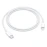 Apple USB-C to Lightning Cable (3.3' / 1m)