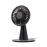 Lexon Wino Portable Rechargeable Mini Fan (Black)