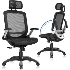 GABRYLLY Ergonomic Office Chair