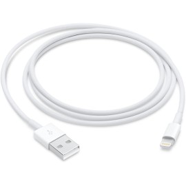 Apple USB Type-A to Lightning Cable (3.3')
