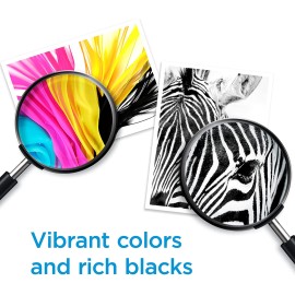 HP 60 Black Ink Cartridge | Works with DeskJet D1660, D2500, D2600, D5560, F2400, F4200, F4400, F4580; ENVY 100, 110, 120; PhotoSmart C4600, C4700, D110a Series | CC640WN