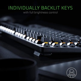 Razer BlackWidow Lite TKL Tenkeyless Mechanical Keyboard : Orange Key Switches - Tactile & Silent - White Individual Key Lighting - Compact Design - Detachable Cable - Classic Black