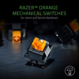 Razer BlackWidow Lite TKL Tenkeyless Mechanical Keyboard : Orange Key Switches - Tactile & Silent - White Individual Key Lighting - Compact Design - Detachable Cable - Classic Black