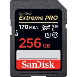 SanDisk Extreme Pro 256 GB Flash memory card