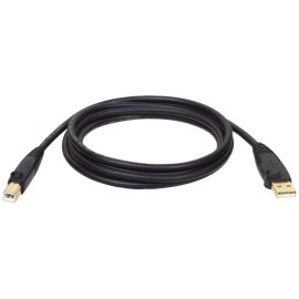 A-Male To B-Male Usb 2.0 Cable (10Ft)