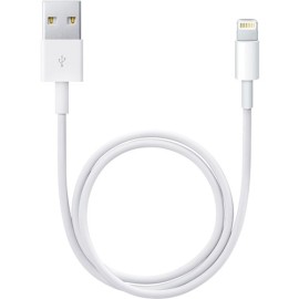 Apple USB Type-A to Lightning Cable (3.3')