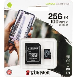 Kingston - Flash memory card - microSDHC - 256 GB