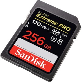 SanDisk Extreme Pro 256 GB Flash memory card