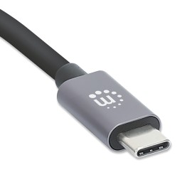 Manhattan Usb-C To Hdmi And Vga 4-In-1 Docking Converter With Power Delivery