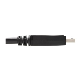 Tripp Lite Displayport To Dvi Adapter Cable (M/M), 6 Ft. (1.8 M)