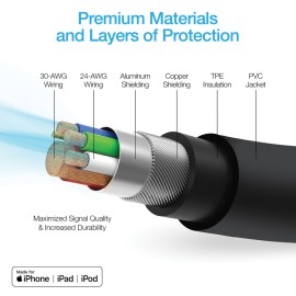 Naztech 12 Ft. Fast Charge USB