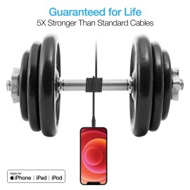 Naztech 12 Ft. Fast Charge USB