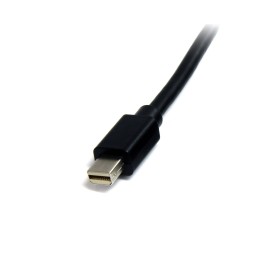 StarTech 1m Mini DisplayPort 1.2 Cable M/M Mini DisplayPort 4k - DisplayPort cable - Mini DisplayPort