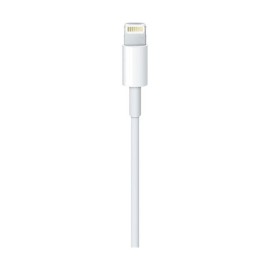Apple USB Type-A to Lightning Cable (0.5M)