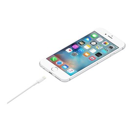 Apple USB Type-A to Lightning Cable (0.5M)