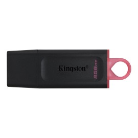 Kingston DataTraveler Exodia USB flash drive 256 GB USB 3.2 Gen 1 black/pink