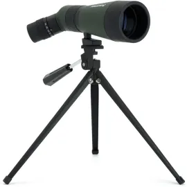 Celestron – LandScout 60mm Angled Spotting Scope – Fully Coated Optics – 12–36x Zoom Eyepiece