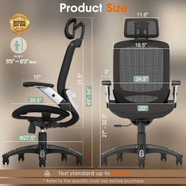 GABRYLLY Ergonomic Office Chair