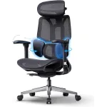 Hbada E3 Air Ergonomic Office Chair - Big and Tall Office Chair