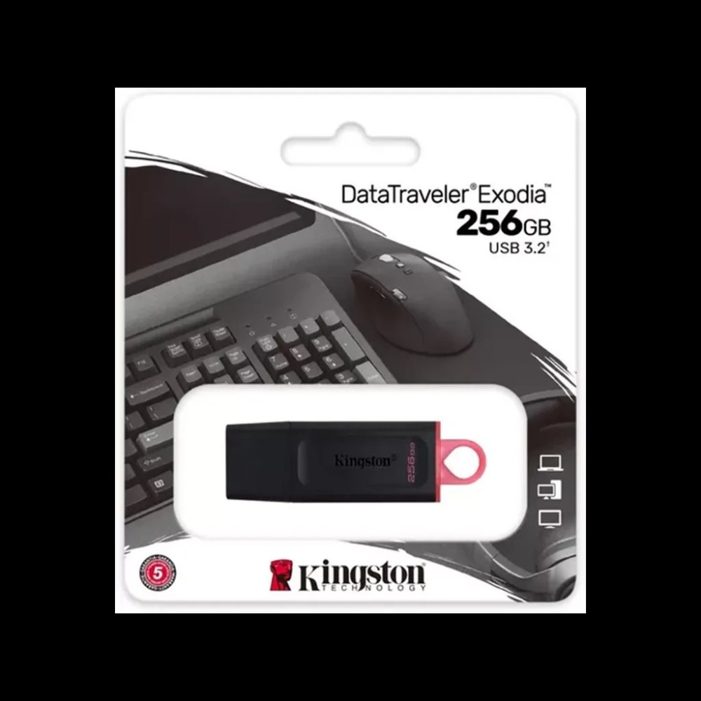 Kingston DataTraveler Exodia 256GB USB 3.2 Flash Drive