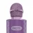 Crayola CKM150 Combo Bluetooth Karaoke Handheld Mic and 5-Watt Speaker, FM/USB/microSD, Aux In/Out, Vocal FX, up to 2 Hours Play Time (Pink)