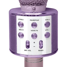 Crayola CKM150 Combo Bluetooth Karaoke Handheld Mic and 5-Watt Speaker, FM/USB/microSD, Aux In/Out, Vocal FX, up to 2 Hours Play Time (Pink)