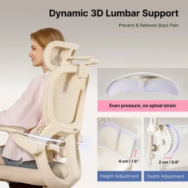 HINOMI Q2 Ergonomic Mesh Office Chair with Lumbar Support