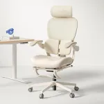 HINOMI Q2 Ergonomic Mesh Office Chair with Lumbar Support