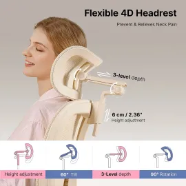 HINOMI Q2 Ergonomic Mesh Office Chair with Lumbar Support